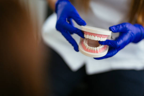 Professional  Holistic Dental Services in Huntingtown, MD